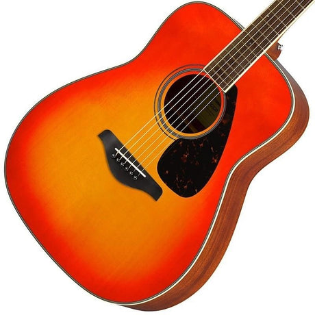 [New_Life_Support!_Includes_a_10-Piece_Accessory_Set!]_Yamaha_FG820_(Autumn_Burst)_03