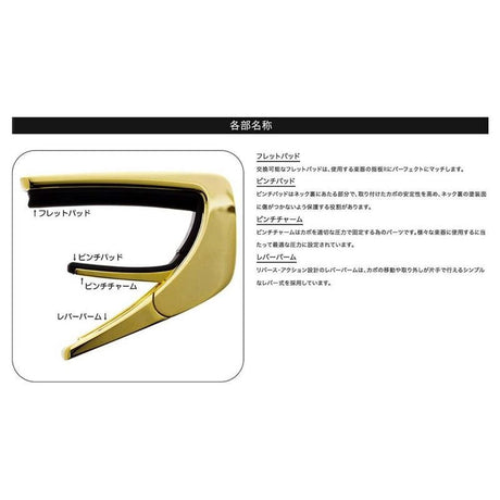 [New_Product]_Exotic_Shell_Series_Chrome_Emerald_Green_Abalone_Talia_Capo_03