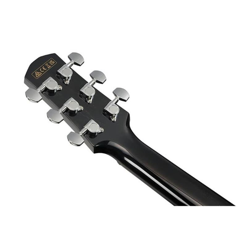 [New_Year's_Sale]_[Discontinued_Product_Special_Price]_Ibanez_AAM340CE-RUB_05