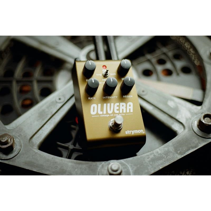 OLIVERA_[Released_October_29th]_(Strymon)_Vintage_Echo_03