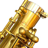 [Outlet_Special_Price]_Selmer_Signature_Alto_Saxophone，_Brushed_Gold_Lacquer_(Brushed_GL)_[Shipped_after_adjustment_&_setup]_[Free_key_balance_adjustment_for_5_years]_04