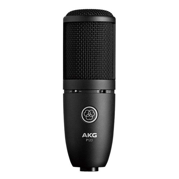 P120_(Domestic_genuine_product_with_2-year_warranty)_(Arkage)_01
