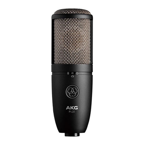 P420_(Domestic_genuine_product_with_2-year_warranty)_(Arkage)_01