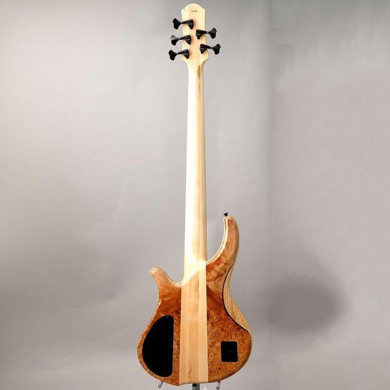 PH9-5 Burl Maple by Phoenix – Ikebe Musical Instruments Store