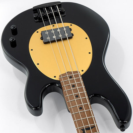Pete_Wentz_Signature_Stingray_10