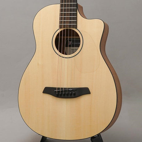 Pioneer_EMa_Forch_01