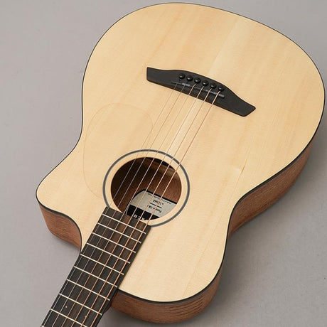 Pioneer_EMa_Forch_05