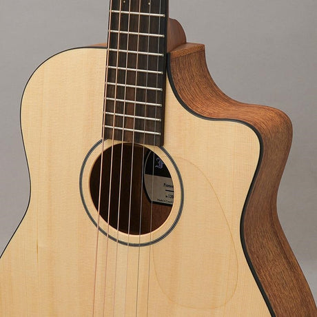 Pioneer_EMa_Forch_07