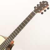 [Price_revision_effective_April_1st]_Rainbow_Gc-LEa_-_Alpine_Spruce___Exotic_Ebony_Furch_09