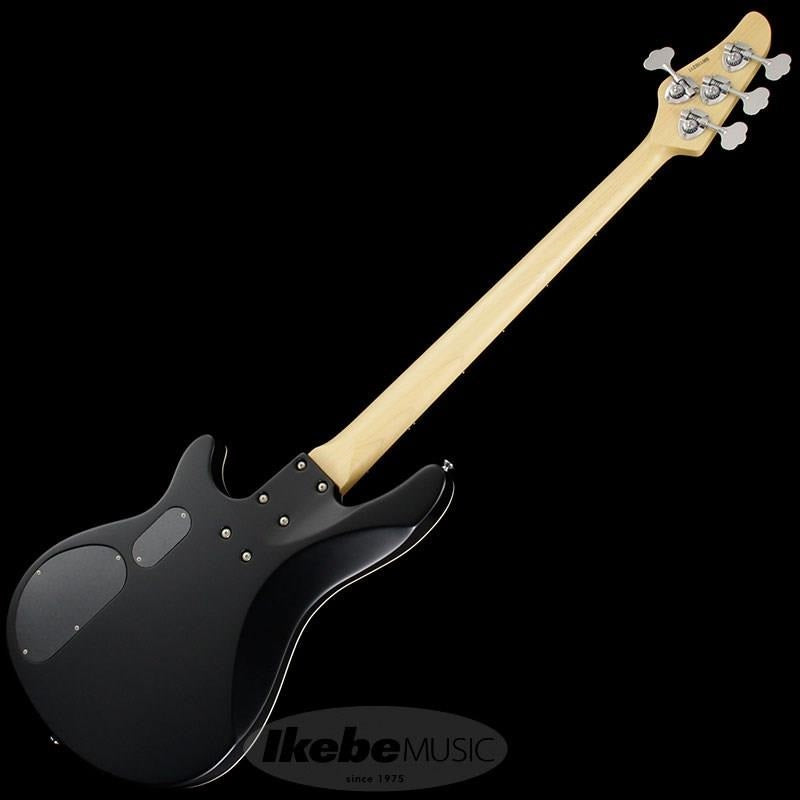 Progauge_Artist_Model_Series_PA-TM_03