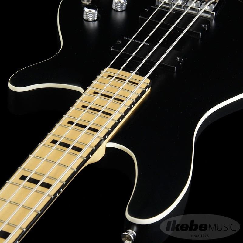 Progauge_Artist_Model_Series_PA-TM_06