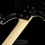 Progauge_Artist_Model_Series_PA-TM_07