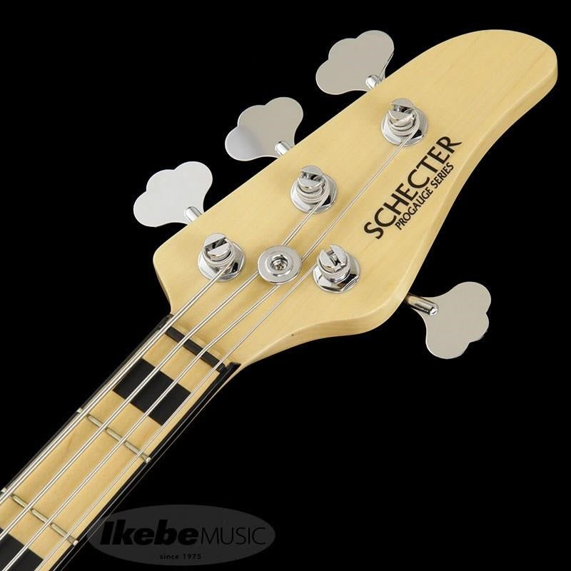 Progauge Artist Model Series PA-TM by SCHECTER – Ikebe Musical