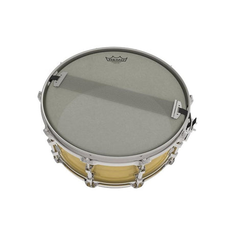 RA-114SA_[Renaissance_Snare_Side_14]_02