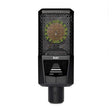 RAY_(Luiit)_Microphone_(Sensor_Technology，_Condenser_Microphone)_01