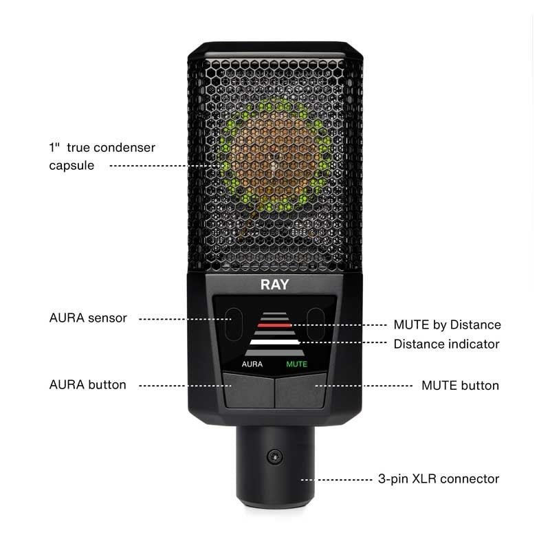 RAY_(Luiit)_Microphone_(Sensor_Technology，_Condenser_Microphone)_02