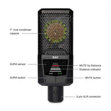 RAY_(Luiit)_Microphone_(Sensor_Technology，_Condenser_Microphone)_02