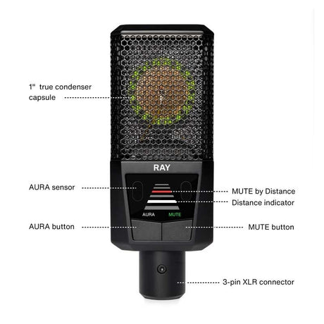 RAY_(Luiit)_Microphone_(Sensor_Technology，_Condenser_Microphone)_02