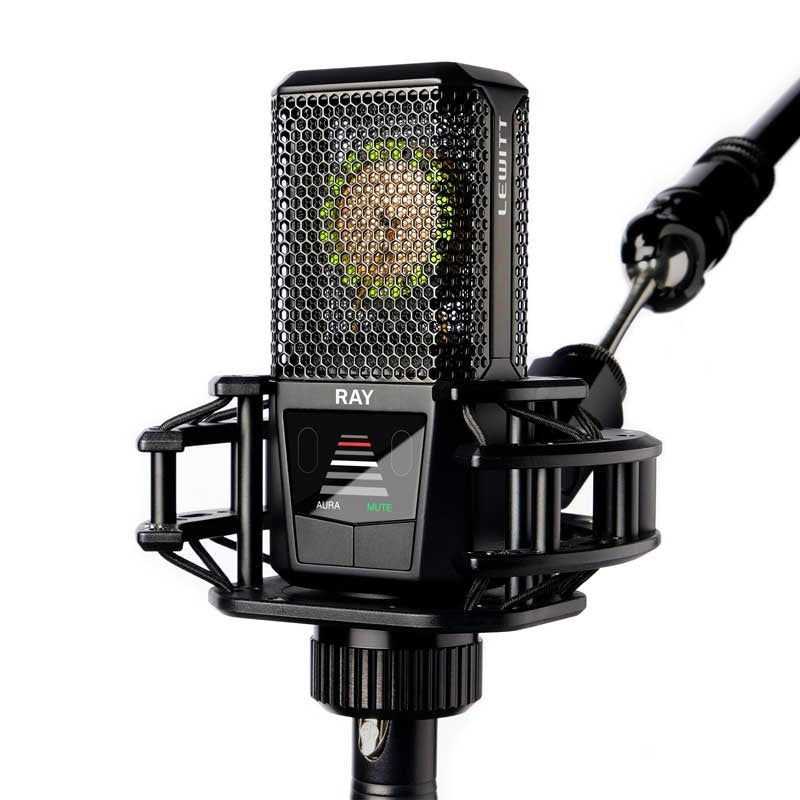 RAY_(Luiit)_Microphone_(Sensor_Technology，_Condenser_Microphone)_04