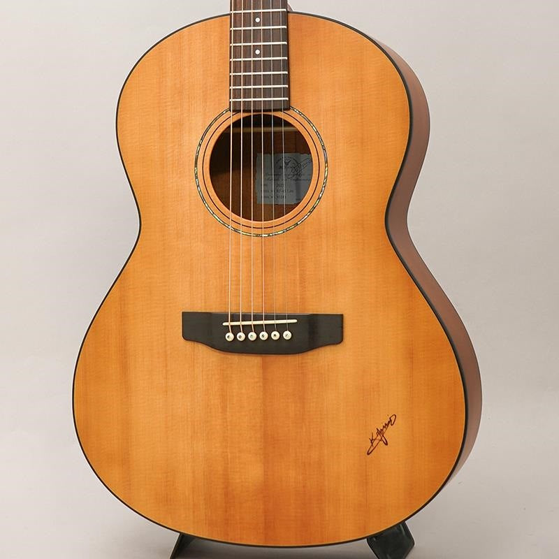 RF-65E_Lite_[Short-scale_&_Electric_Acoustic_Model]_by_K_Yairi_01