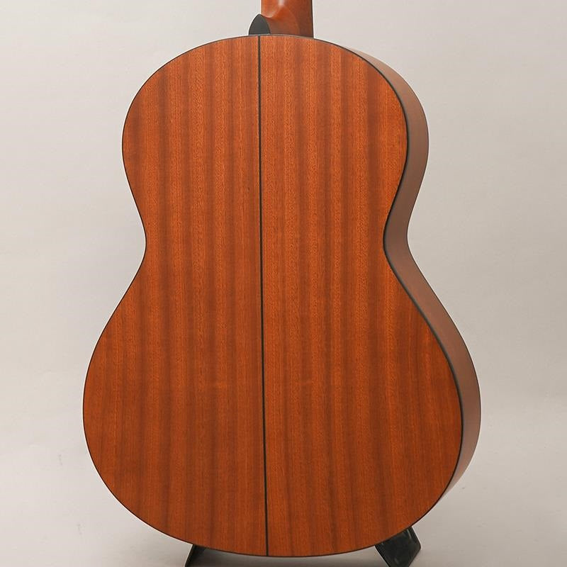 RF-65E_Lite_[Short-scale_&_Electric_Acoustic_Model]_by_K_Yairi_02