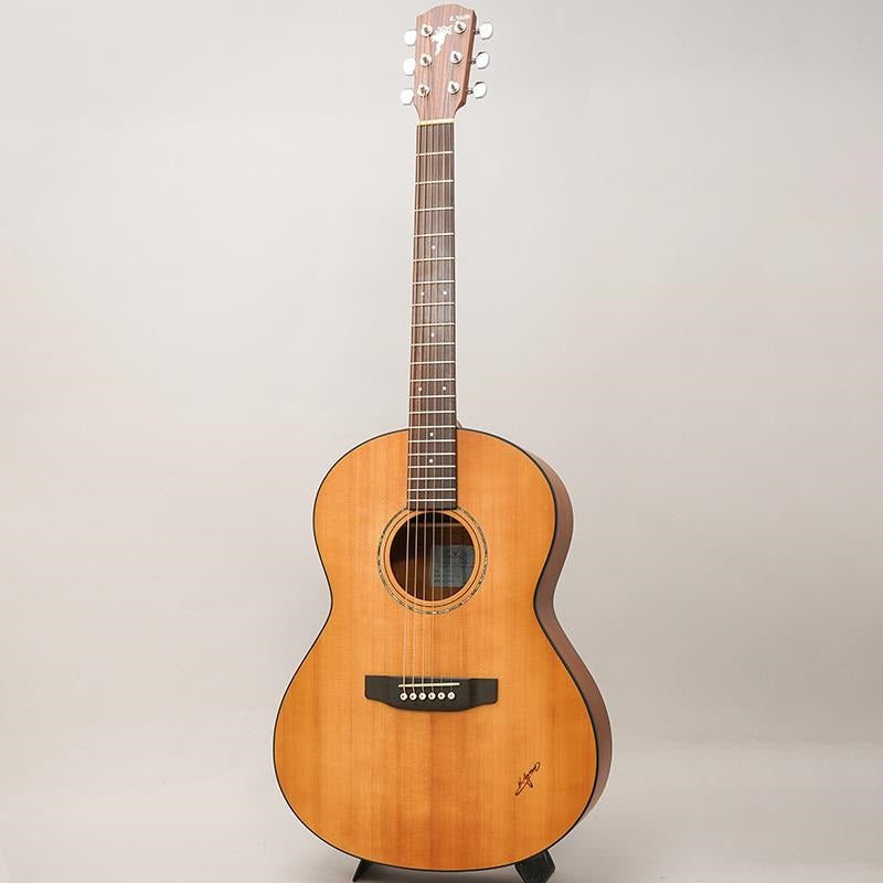 RF-65E_Lite_[Short-scale_&_Electric_Acoustic_Model]_by_K_Yairi_03