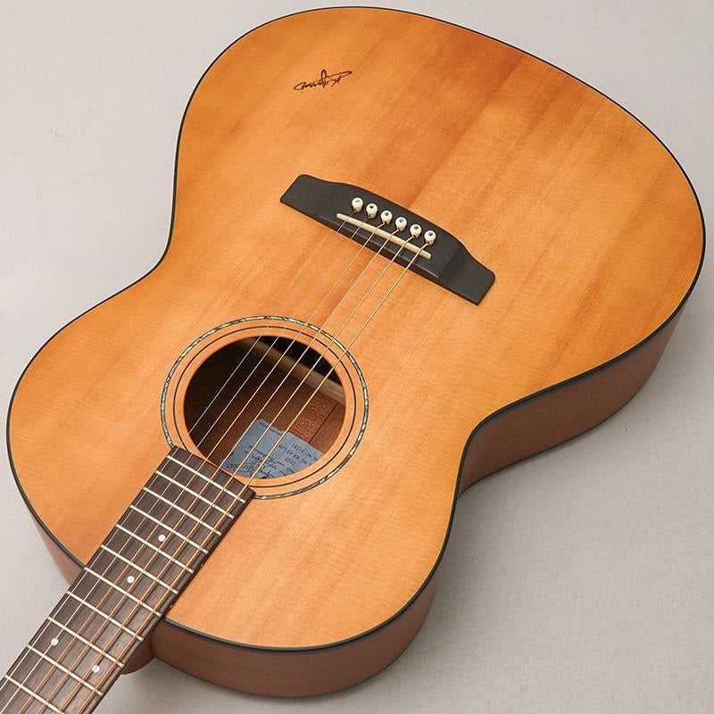 RF-65E_Lite_[Short-scale_&_Electric_Acoustic_Model]_by_K_Yairi_05