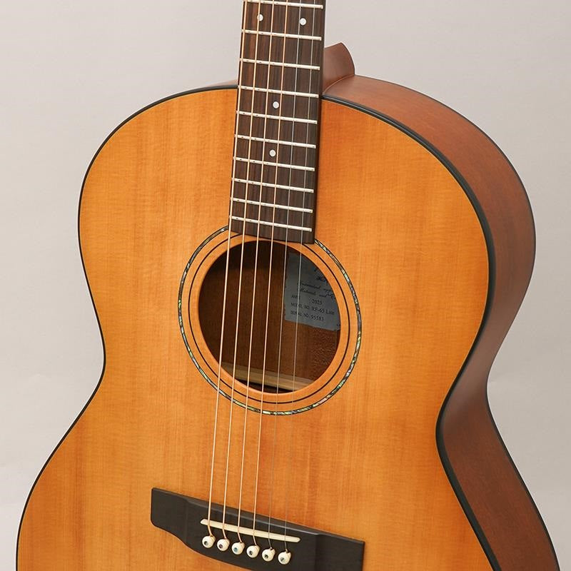 RF-65E_Lite_[Short-scale_&_Electric_Acoustic_Model]_by_K_Yairi_07