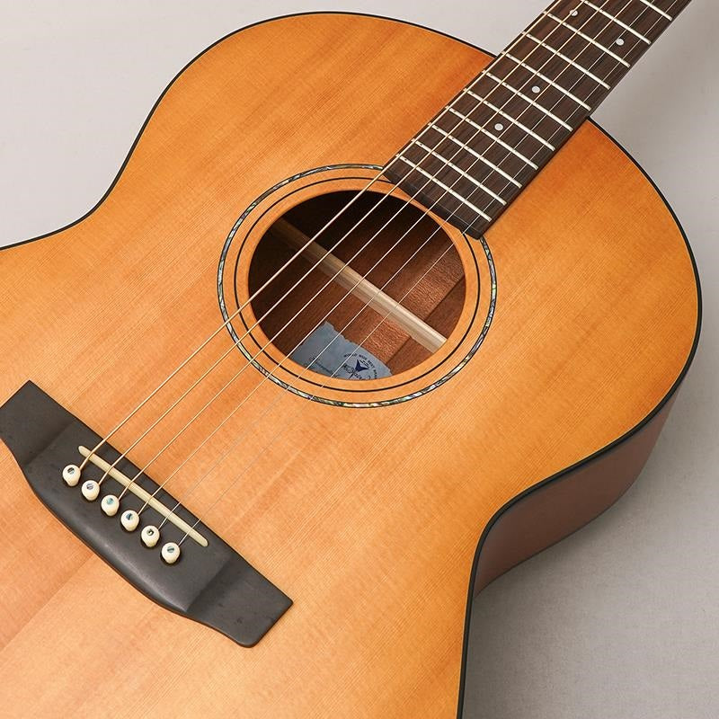 RF-65E_Lite_[Short-scale_&_Electric_Acoustic_Model]_by_K_Yairi_08