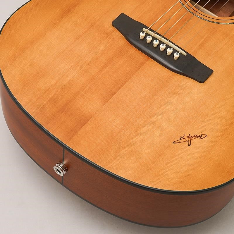 RF-65E_Lite_[Short-scale_&_Electric_Acoustic_Model]_by_K_Yairi_09