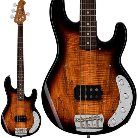 Ray34SM_(3-Tone_Sunburst_Rosewood)_[Special_Price]_01