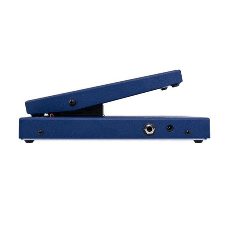 Rex_Brown_Old_Blue_Wah_03
