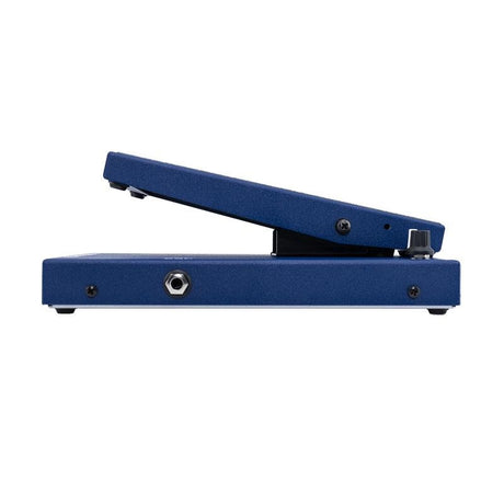 Rex_Brown_Old_Blue_Wah_04