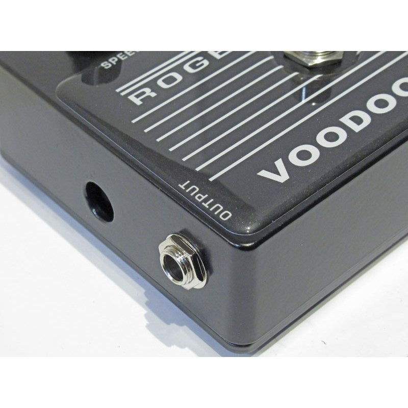 Roger_Mayer_Voodoo-Vibe_2024_03
