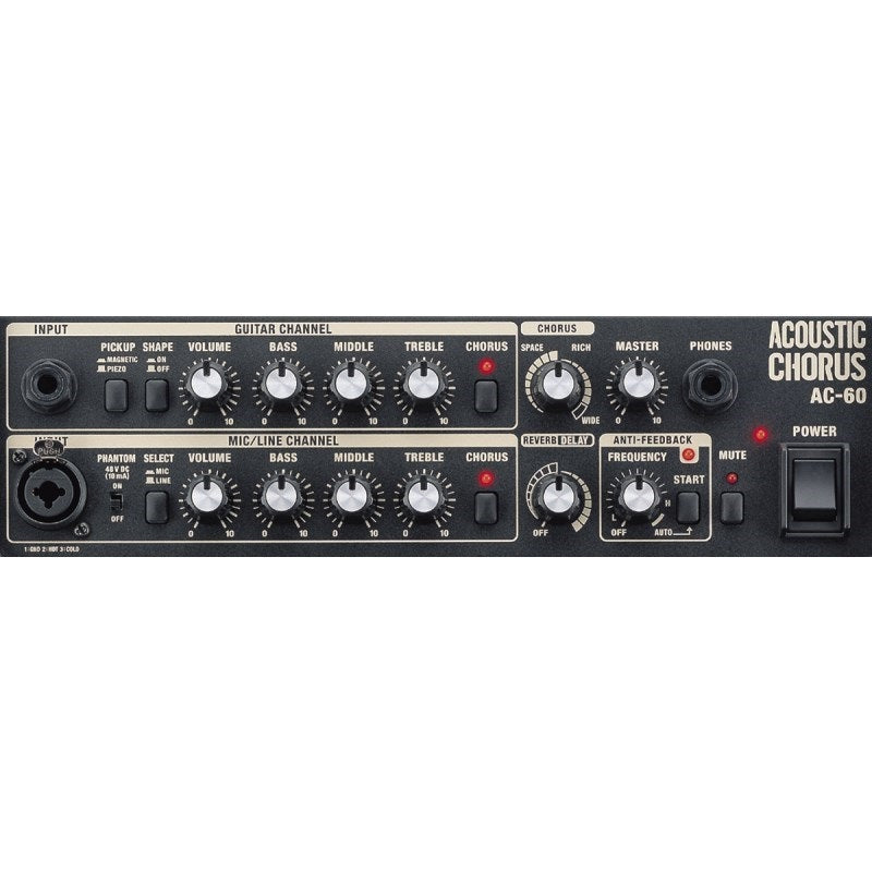 Roland_AC-60_RW_Acoustic_Chorus_(Exhibit_Item)_03