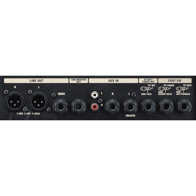 Roland_AC-60_RW_Acoustic_Chorus_(Exhibit_Item)_04