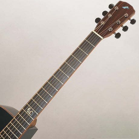 S-101_III_Black_Edition_Morris_10