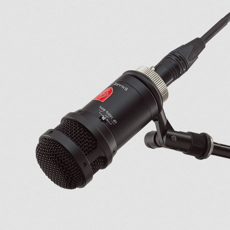 SNARE_MIC_02