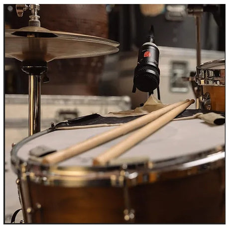 SNARE_MIC_07