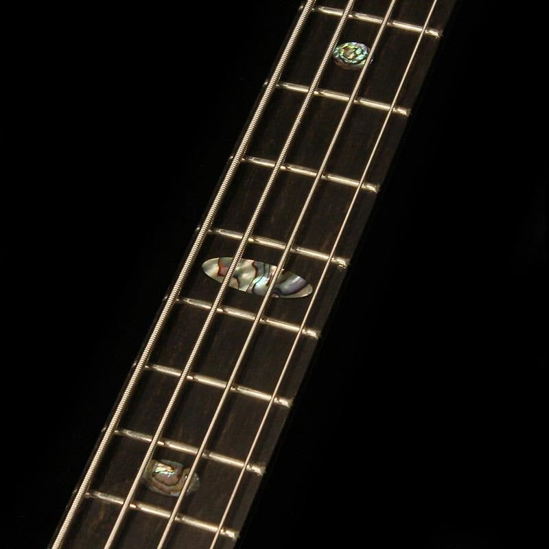 SSB___Series_II_4st_(Coco_Bolo_Top_&_Back___Ebony_Neck_Laminates)_06