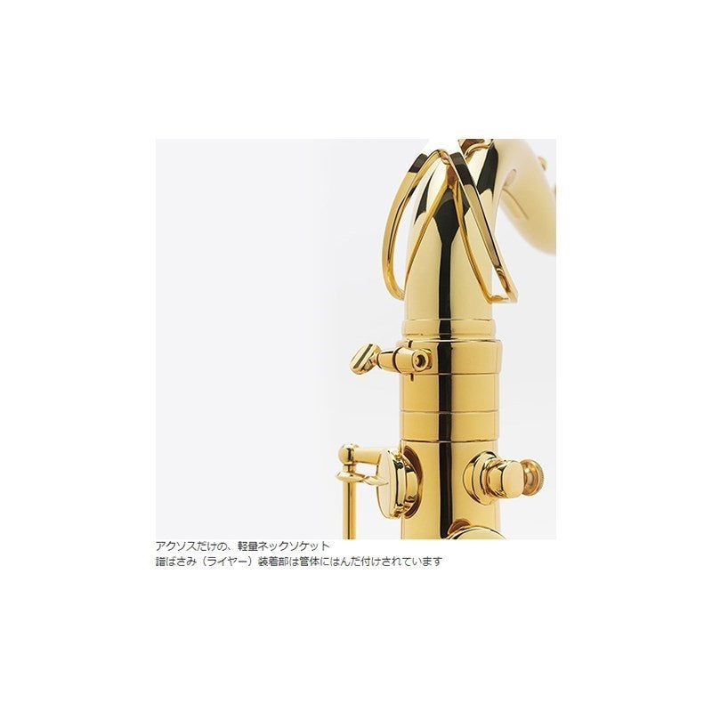 [Selected_by_Seiichi_Nakamura]_Selmer_AXOS_Tenor_Saxophone_[Adjusted_and_Set_Up_Before_Shipment]_[Free_Key_Balance_Adjustment_for_5_Years]_[Autumn_Super_Sale]_04