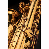 [Selected_by_Shinichiro_Hikosaka]_Selmer_Signature_Alto_Saxophone_in_Dark_SL_(Dark_Signature_Lacquer)_[Free_Selection_Fee!]_[Adjusted_and_Set_Up_Before_Shipment]_[Free_Key_Balance_Adjustment_for_5_Years]_07