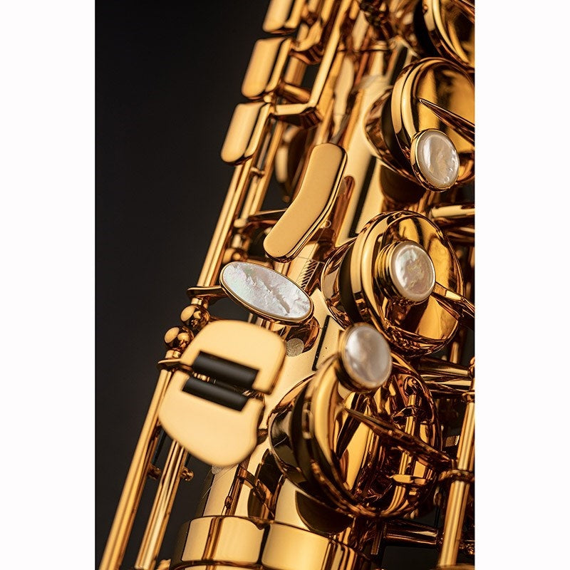Selmer_Signature_Alto_Saxophone_in_Dark_SL_(Dark_Signature_Lacquer)_[Set_up_and_adjusted_before_shipping]_[Free_key_balance_adjustment_for_5_years]_07