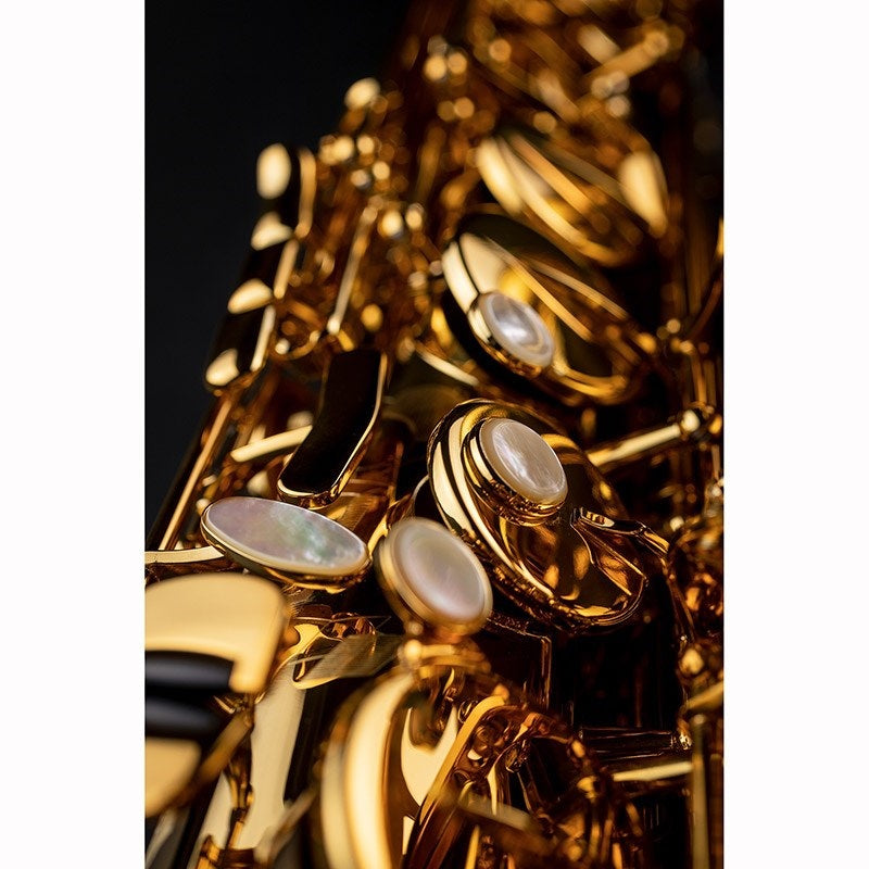 Selmer_Signature_DARK_SL_(Dark_Signature_Lacquer)_Tenor_Saxophone_[Adjusted_and_Set_Up_Before_Shipment]_[Free_Key_Balance_Adjustments_for_5_Years]_[Autumn_Super_Sale]_08