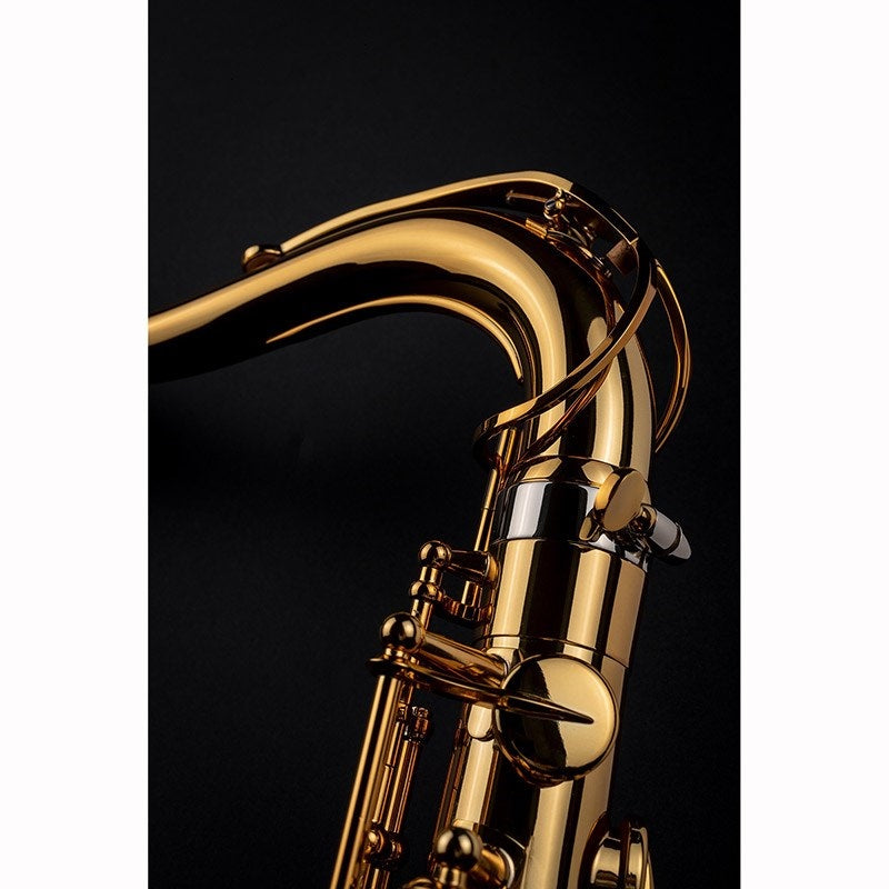 Selmer_Signature_DARK_SL_(Dark_Signature_Lacquer)_Tenor_Saxophone_[Adjusted_and_Set_Up_Before_Shipment]_[Free_Key_Balance_Adjustments_for_5_Years]_[Autumn_Super_Sale]_09