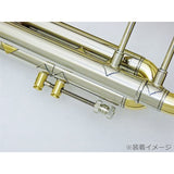Set_of_2_Nickel_Silver_Stopper_Screws_for_Bach_Trumpets_02