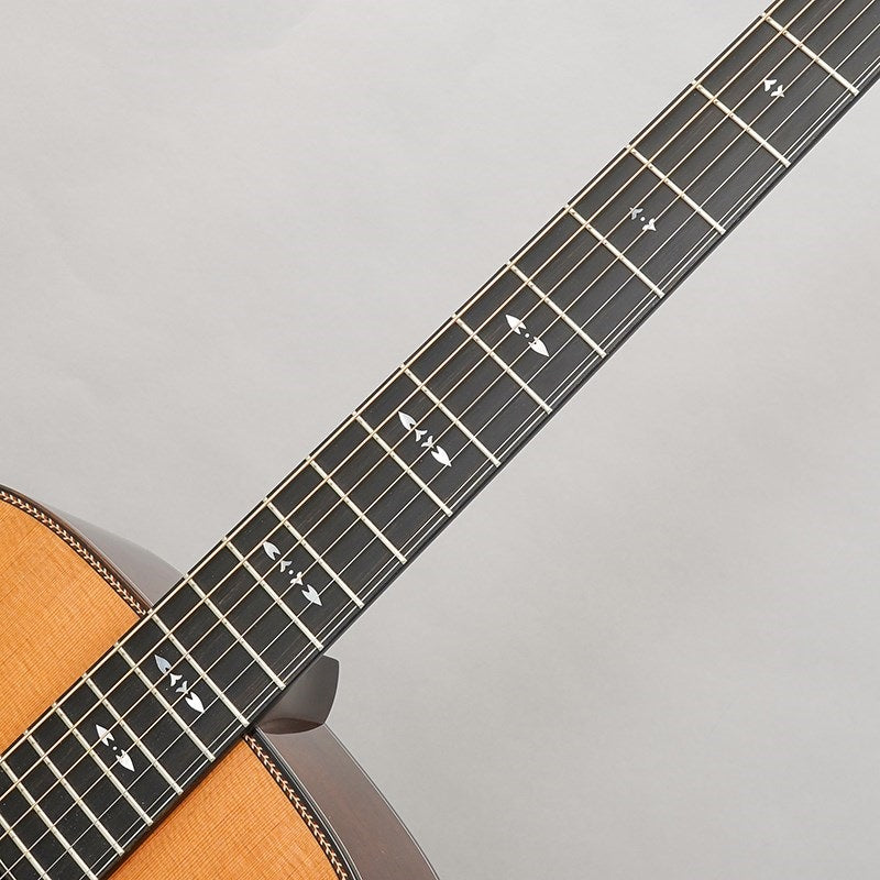 Signature_D_w_R-Zero_Contact_Pro_BACNT_×_DiMarzio_DP234_~Tuned_By_Enfini_Custom_Works~_Beaujois_09