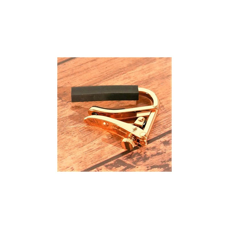 Signature_Matsui_Model_[C1g-rose_Matsui_Model]_[Special_Price]_Shabu_02