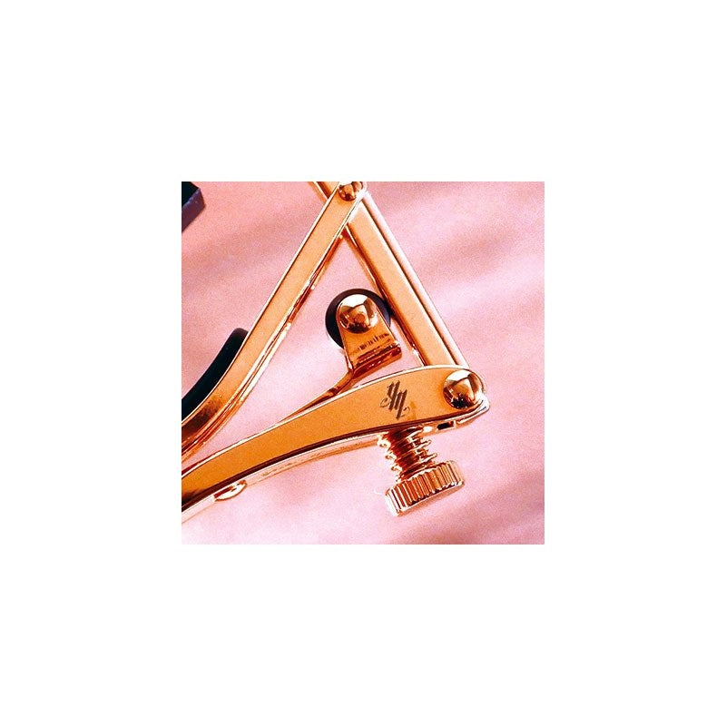 Signature_Matsui_Model_[C1g-rose_Matsui_Model]_[Special_Price]_Shabu_04