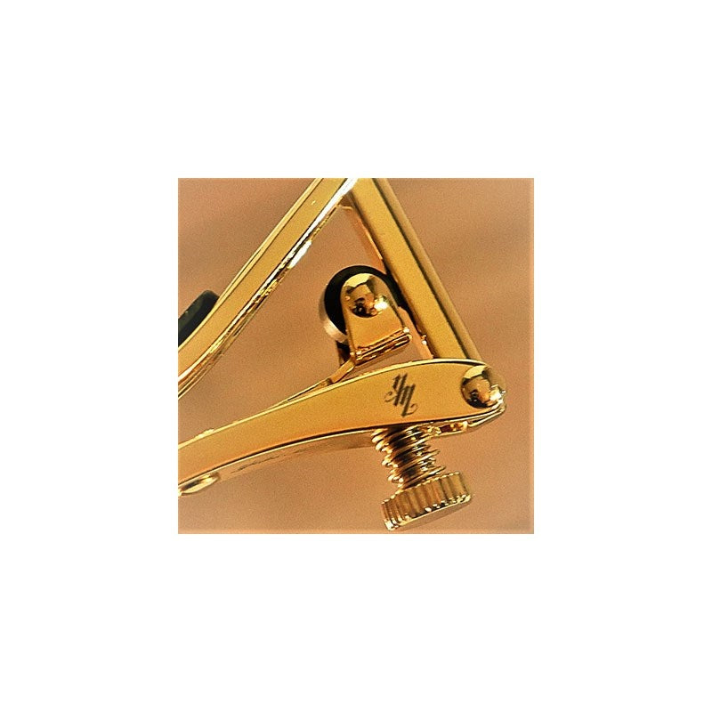 Signature_Matsui_Model_[C1g_Matsui_Model]_[Special_Price]_Shabu_04